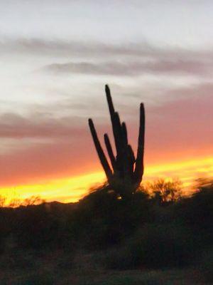 photo of Christine P.