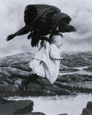 Photo of Crow T.