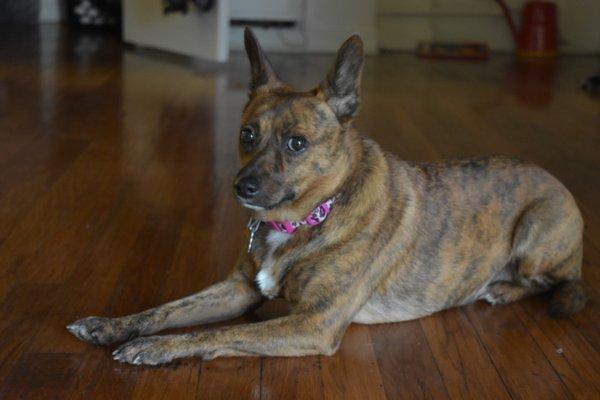 photo of Annonymous H.