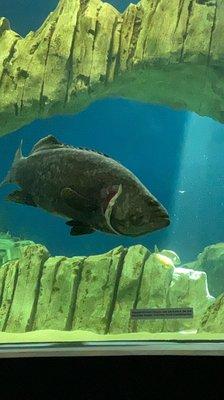 Photo of Bi H.