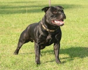 Photo of TakeItThere ..