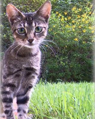 Photo of Adelle P.