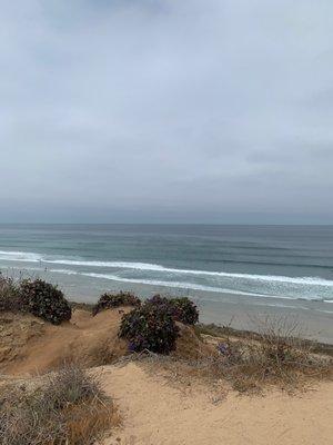 photo of KoriLynn C.