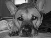 Photo of K H.
