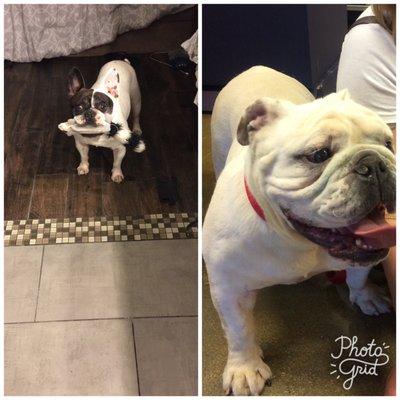 photo of Ana Mariza C.