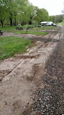 photo of Jennifer N.