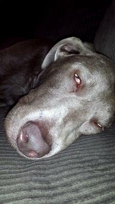 Photo of Cody S.