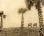 Photo of Sunny R.
