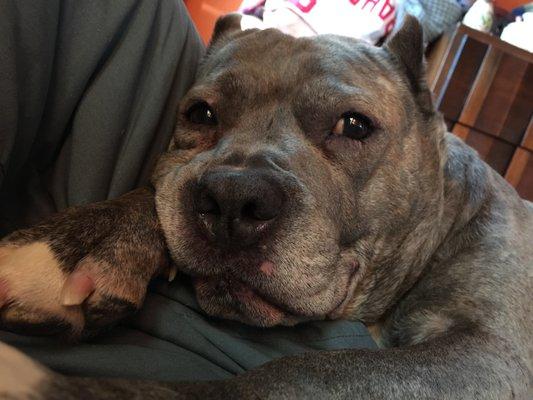 photo of Alessandra D.