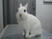 Photo of Eric J.