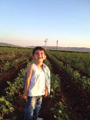 Photo of Halil A.