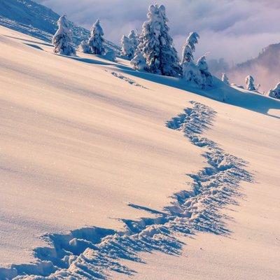 photo of Veronica M.