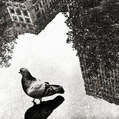 photo of Jennifer K.