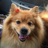 photo of Julianna M.