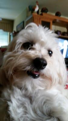 Photo of Debi C.