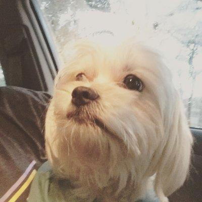 Photo of Millie P.