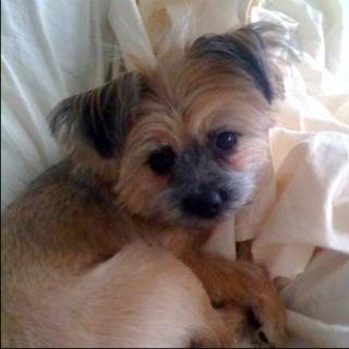 photo of Jillyann N.