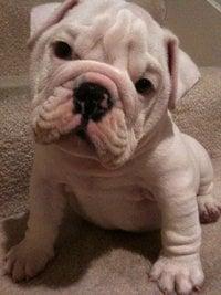 Photo of Sammy R.