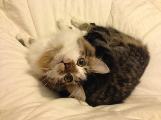 photo of Jennifer L.