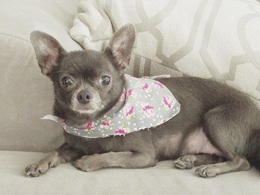 Photo of Rena L.