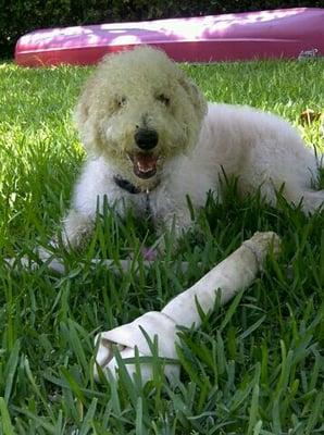 photo of Valentina V.