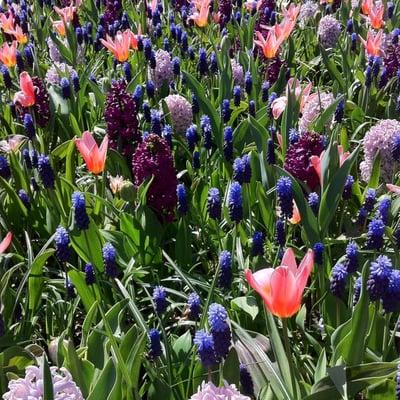 photo of Thailing M.