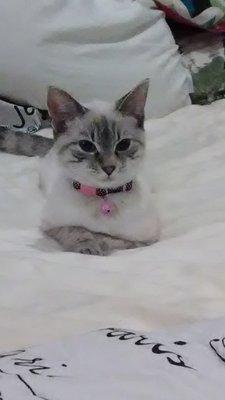 Photo of Katie N.