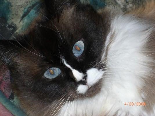 Photo of Jeanne M.