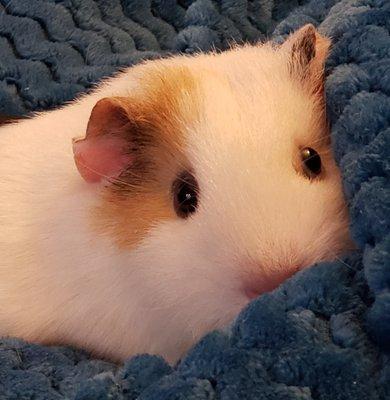 photo of QueensburyMom ..