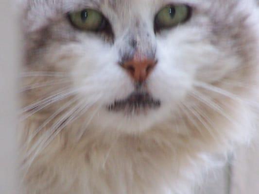 Photo of Taz B.