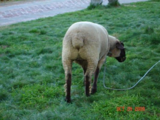 photo of Masaharu M.