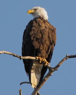 Photo of Lisa M.