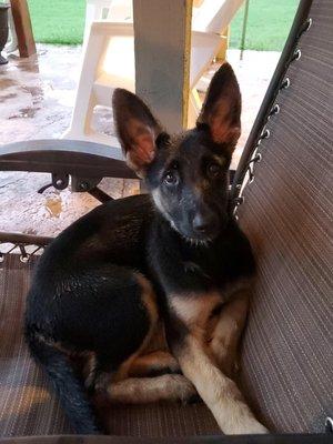 photo of The Allowed P.