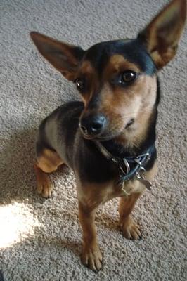 Photo of Cristabel A.