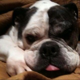 photo of Stephanie C.