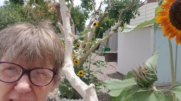 Photo of Heather G.