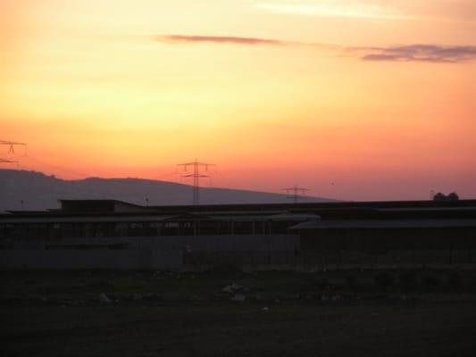Photo of Stephanie R.