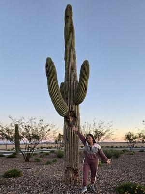 Photo of Joy J.
