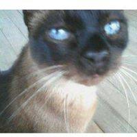 photo of Patricia G.