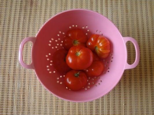 photo of Christine R.