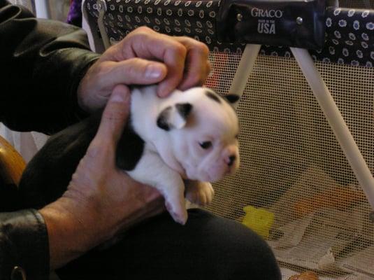 Photo of Candy C.
