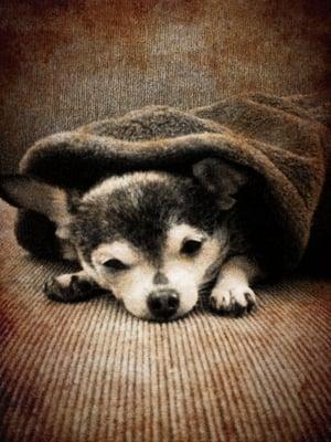 Photo of Cristy H.