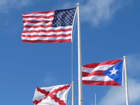 photo of Edwinrodriguez R.