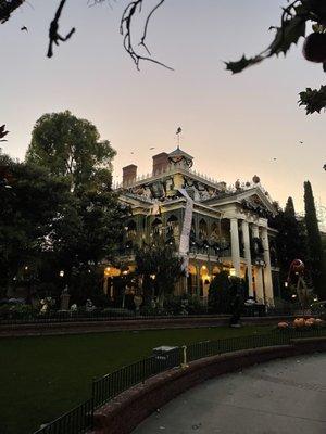 Photo of Blm A.