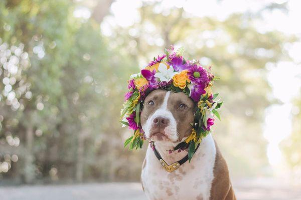 photo of Michelle M.