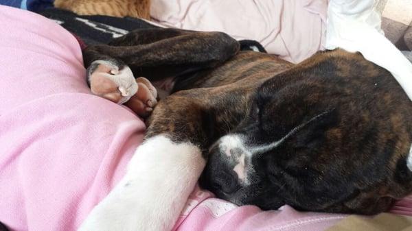 photo of Kembrough C.