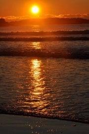 Photo of Kristina M.