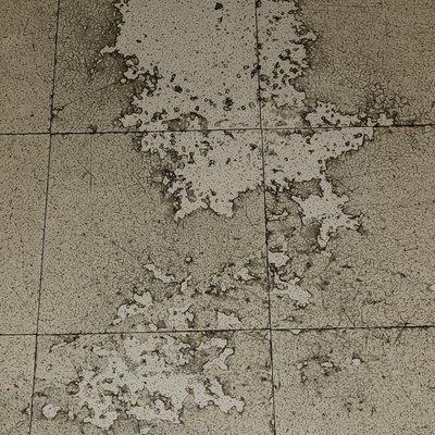 photo of Davelaurie A.