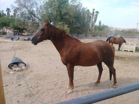 Photo of Tabitha D.