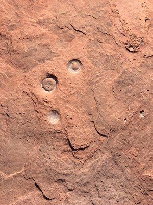 photo of Nam and Robyn N.